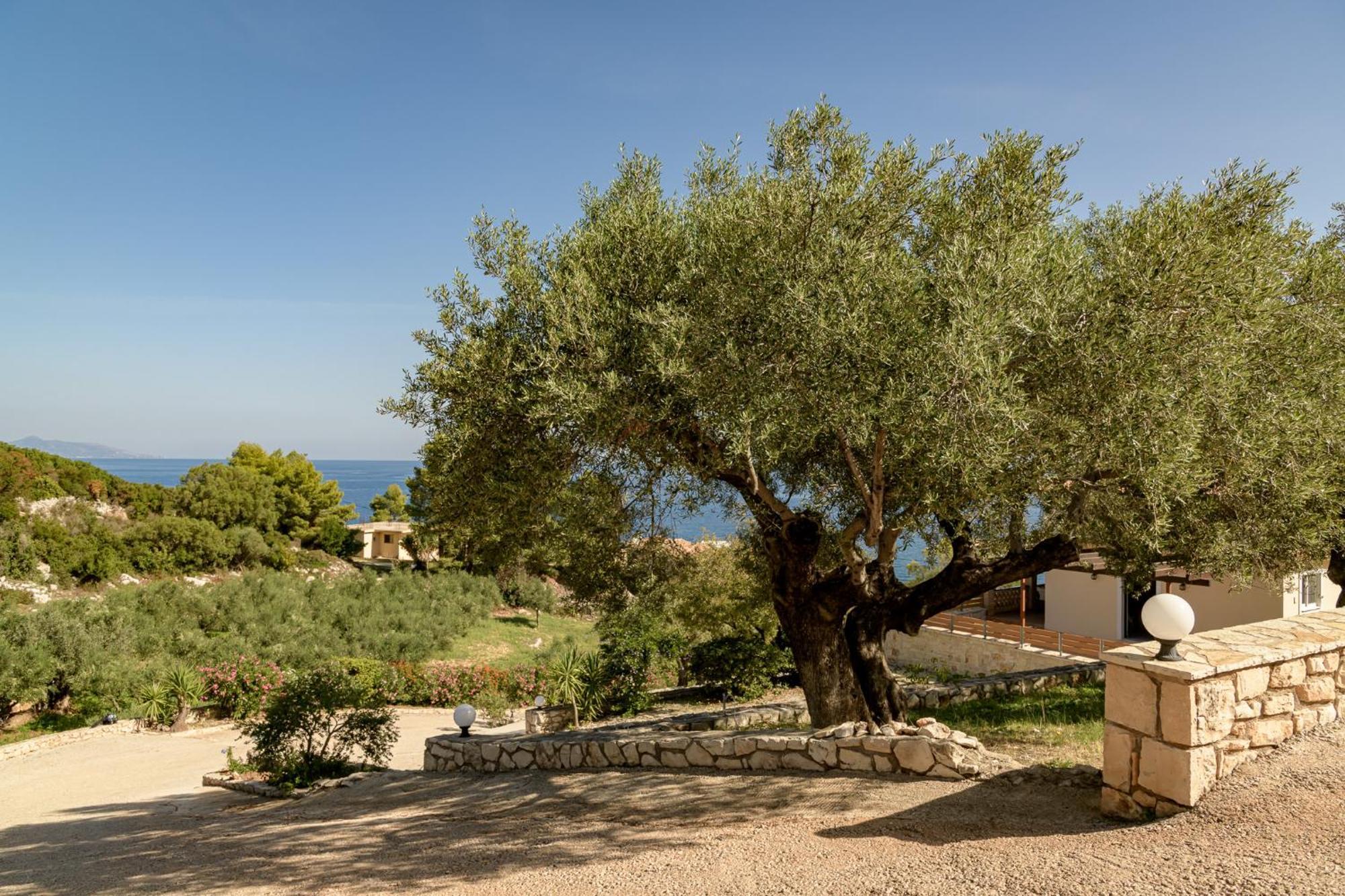 Villa Mare Studios Skinaria Luaran gambar
