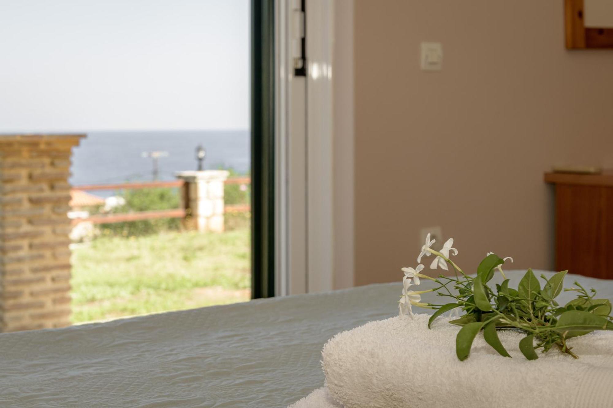 Villa Mare Studios Skinaria Luaran gambar
